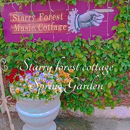 Cats,Piano & Starry Sky Resort Garden -Starry Forest Cottage Okinawa- Onna Kültér fotó